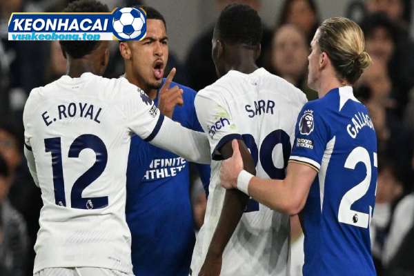 Các trận đấu gần đây của Tottenham